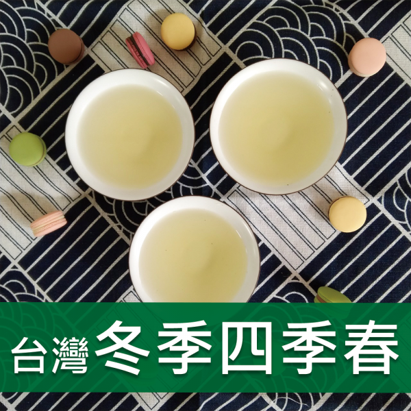 台灣冬四季春茶-588