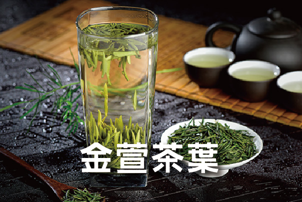 金萱